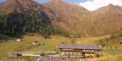 Almwanderung im Hirzergebiet