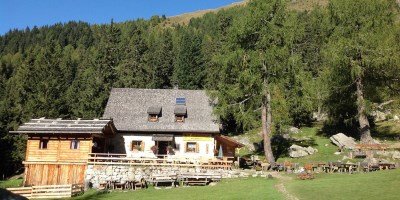 Taser - Ifingerhütte