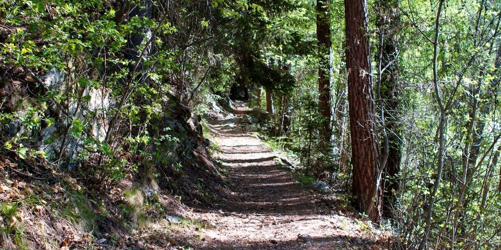 Raststeinweg