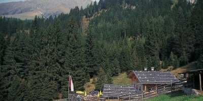 Taser - Streitweideralm - Verdins