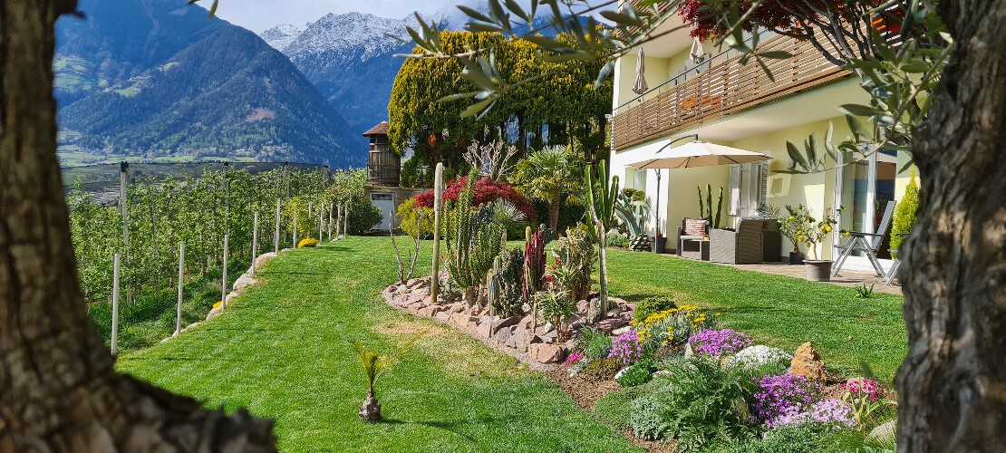 Dependance Almonia in Panoramalage