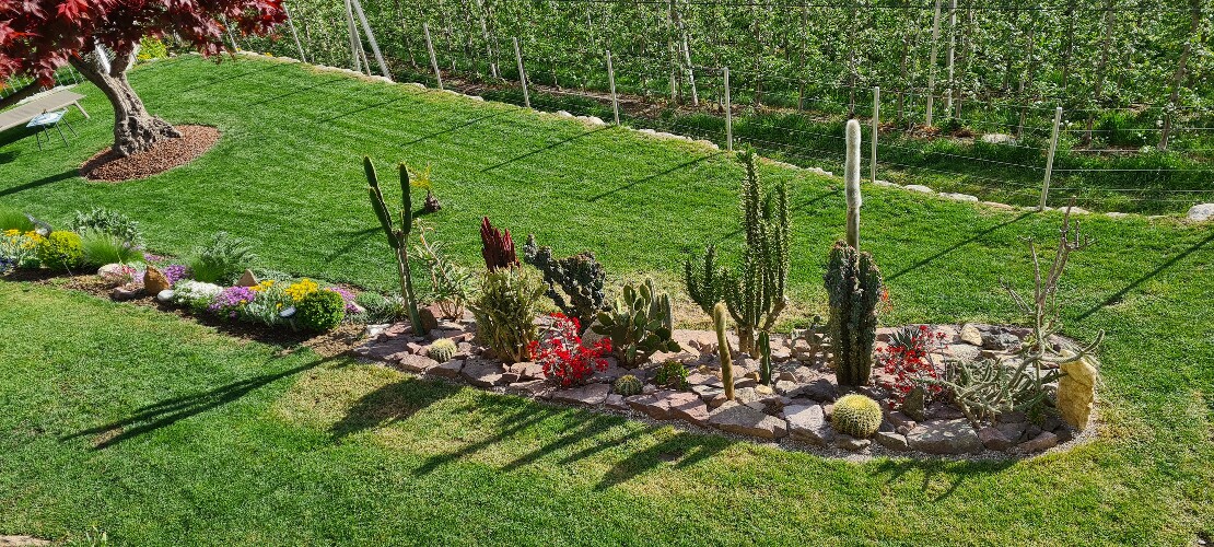 Dependance Almonia in Panoramalage