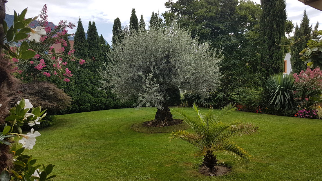Haus Dornach im Herzen von Schenna