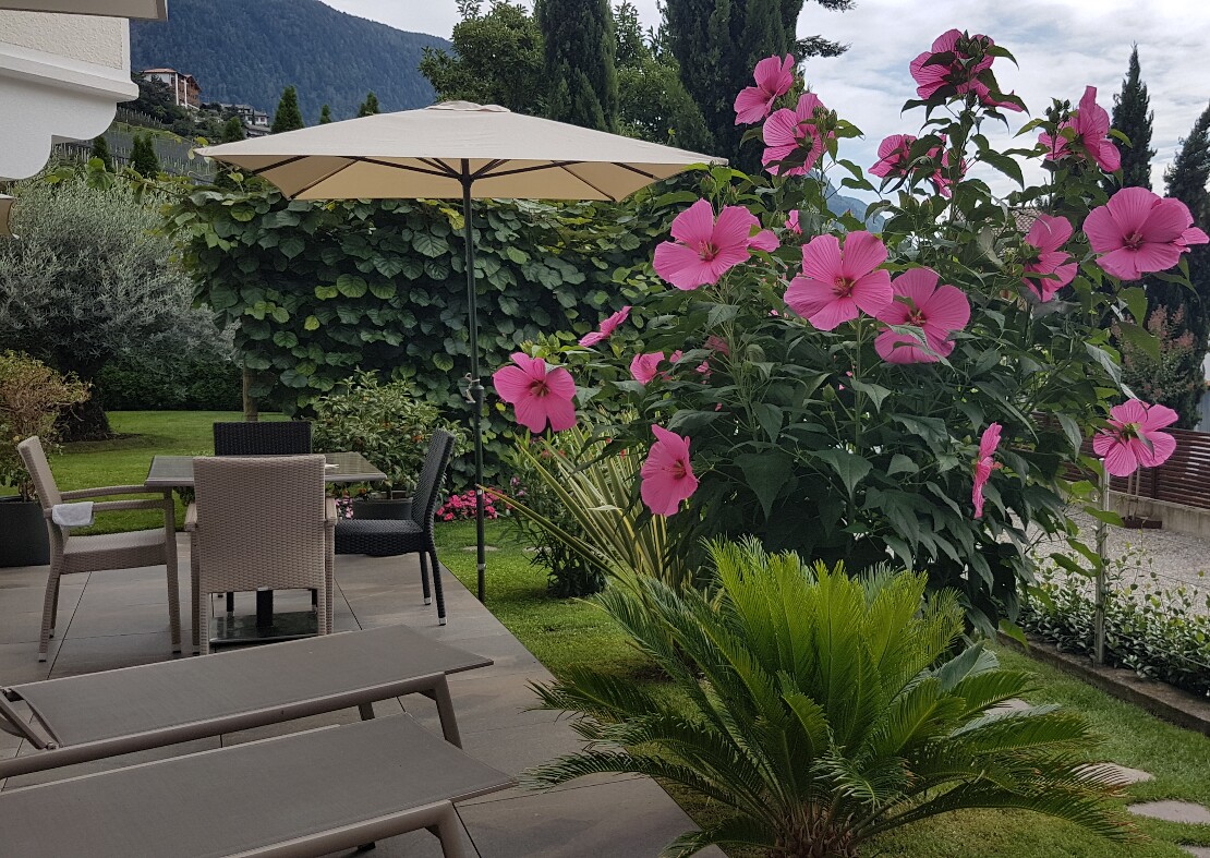 Haus Dornach im Herzen von Schenna